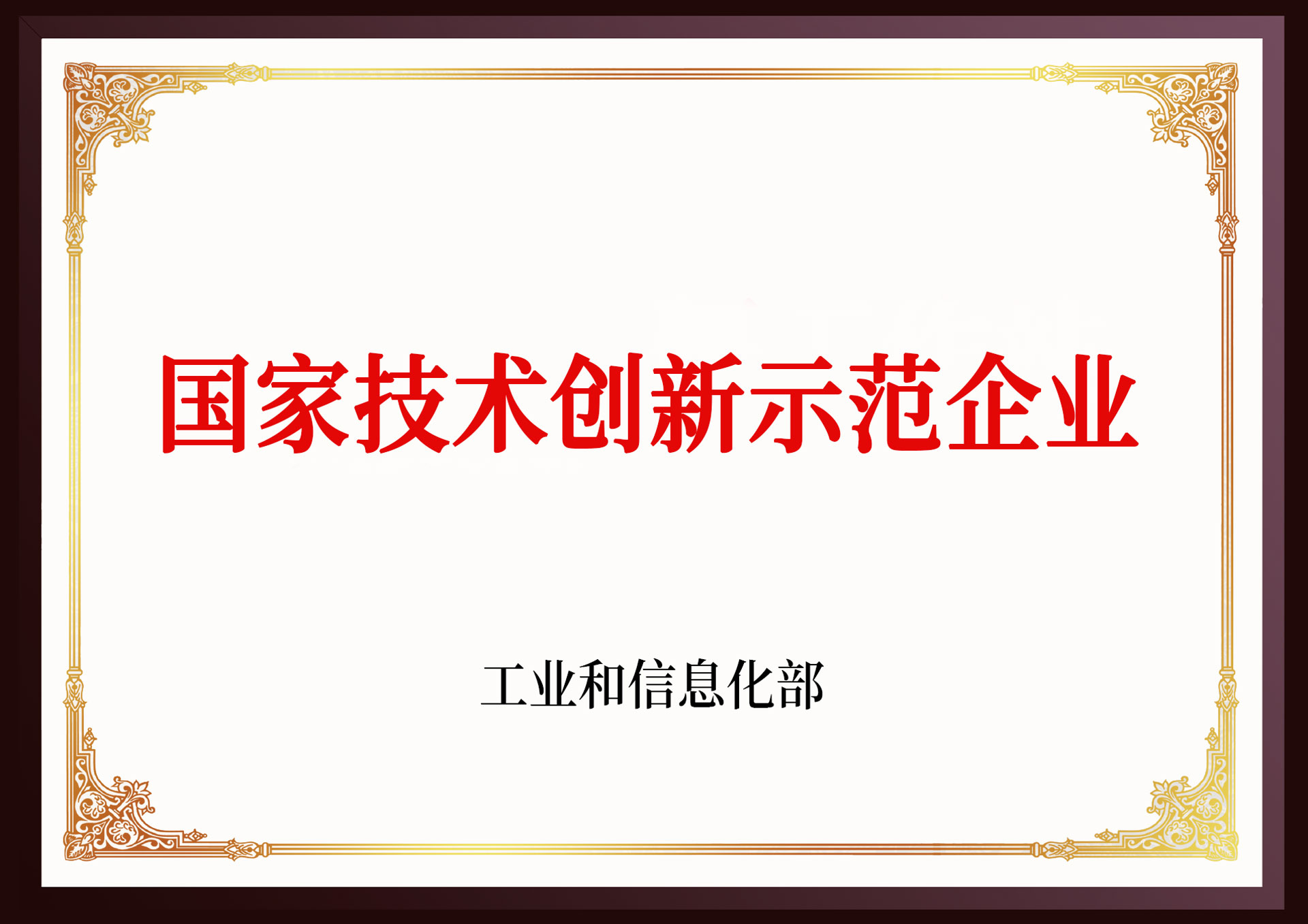 國(guó)家技術(shù)創(chuàng)新示范企業(yè)